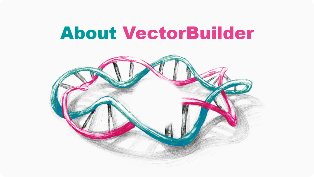 How to Use Vector Design Studio_VectorBuilder